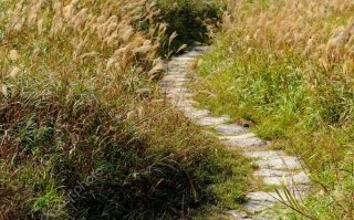 UiPath Stock's Sudden Surge: The Real Reason for the Jump and Why I'm Not Convinced