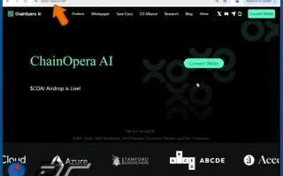 ChainOpera AI: What We Know About the Hype and the Price
