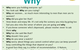 Crypto's Crashing Again: The Official Excuses vs. What Reddit Is Actually Saying