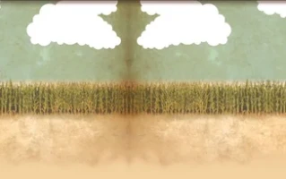 Liberty Mills Farm's Shock Closure: The threat that ended a season and what it says about community