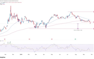 MSTR Stock: Why It's Rising and What the Data Shows