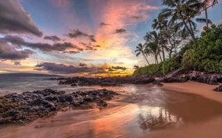 The Hawaiian-Alaska Airline Merger: A Glimpse into the Future of Air Travel