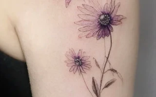 Aster Crypto: What It Is & Why This Project Is a Glimpse of the Future