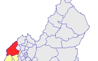 Decoding Manyu: What Connects a Crypto Coin, an Anime Character, and a Sports Champion?